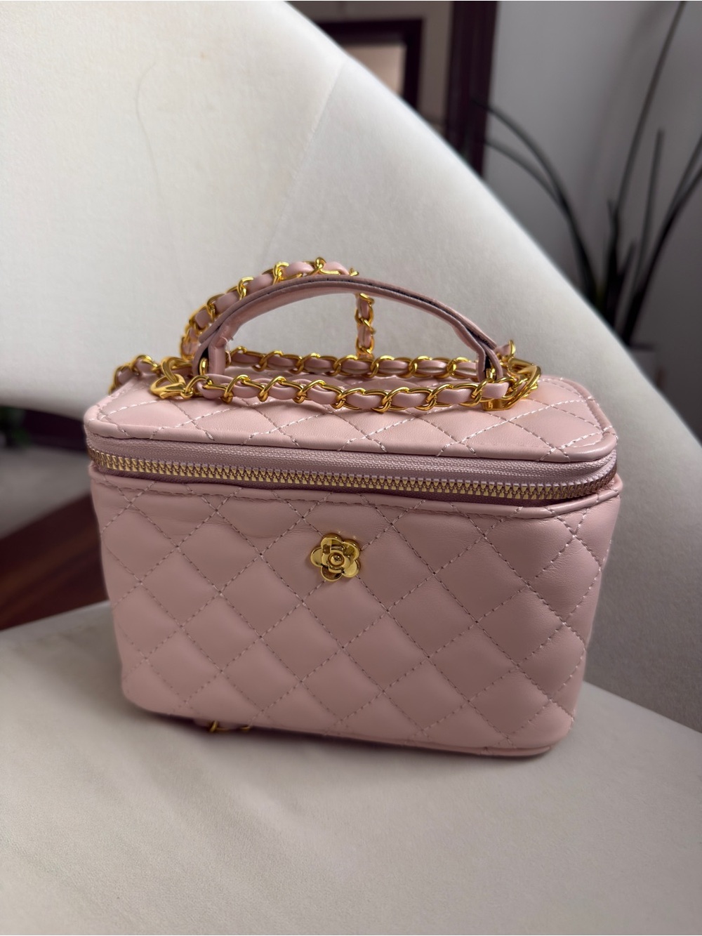Beautiful Punk Vanity Bag with Gold Chain - like CC vanity